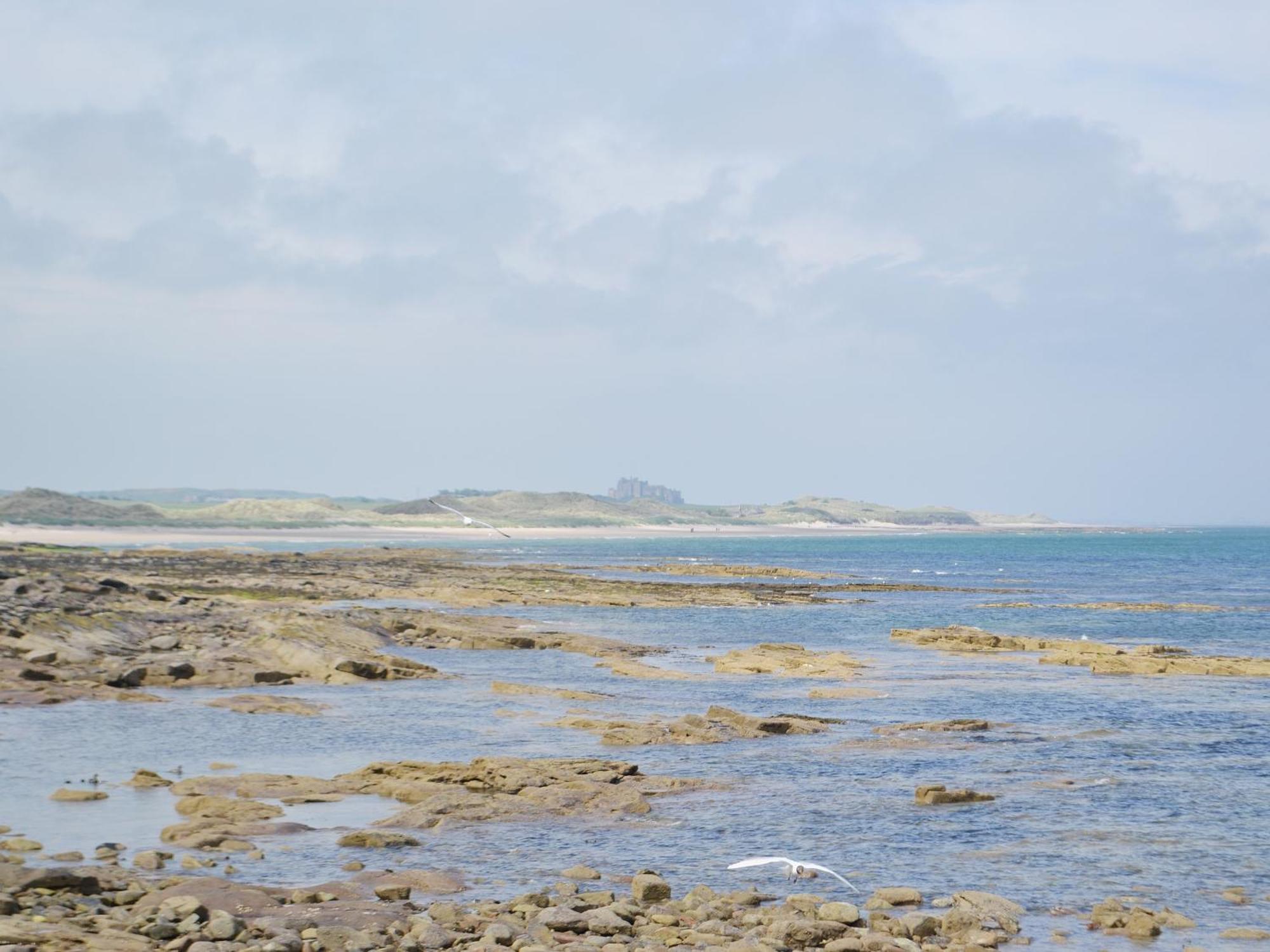 Daisy Cottage Seahouses Esterno foto